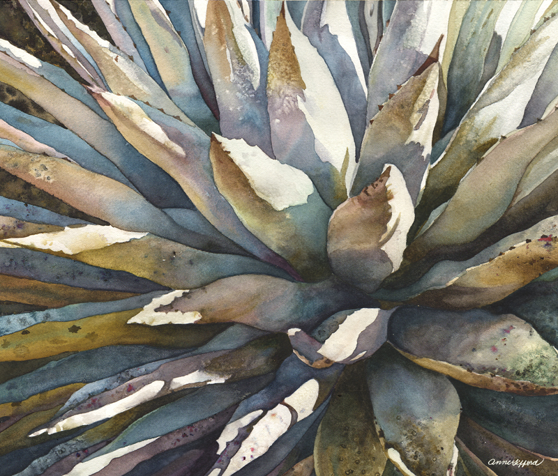 Sunstruck Yucca by Anne Gifford