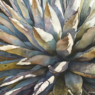 Sunstruck Yucca by Anne Gifford