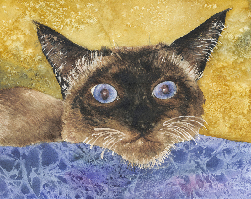 Cats Eyes by Anne Gifford