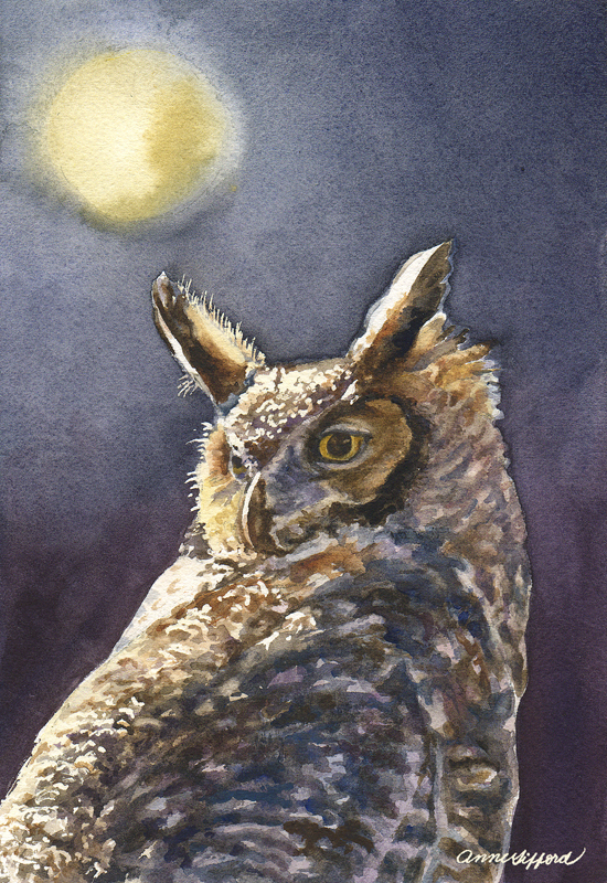 Night Owl by Anne Gifford