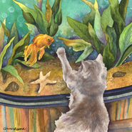 A Cat and a Fish Tank by Anne Gifford