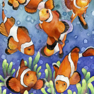 Clown Fish by Anne Gifford