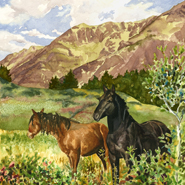 Wild Horses