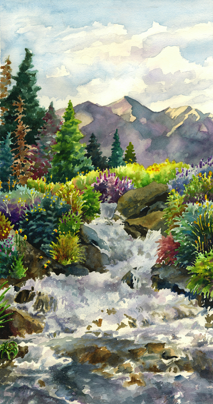 Colorado Waterfall by Anne Gifford