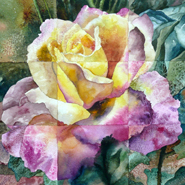 Partitioned Rose 1 by Anne Gifford