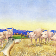 Spike Pigs by Anne Gifford